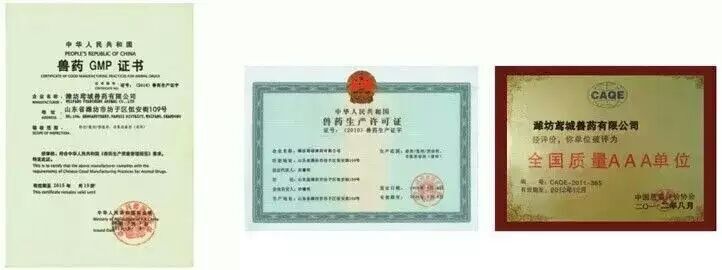 �s�u(y��)�Y�|(zh��)